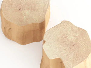 slab coffee tables 3D Model