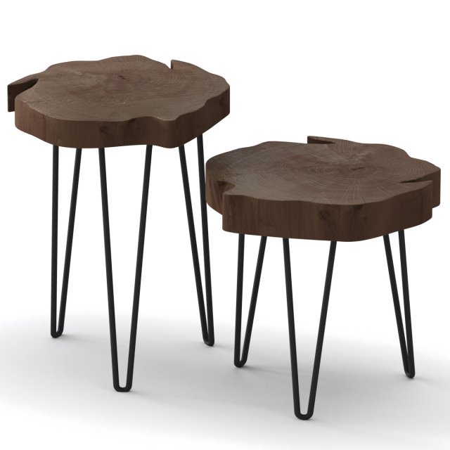 slab coffee tables 3D Model .c4d .max .obj .3ds .fbx .stl .blend