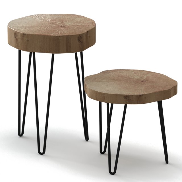 slab coffee tables Modelo 3D .c4d .max .obj .3ds .fbx .stl .blend 
