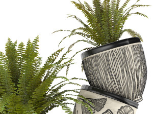 fern in vase 01 - indoor plant Modelo 3D