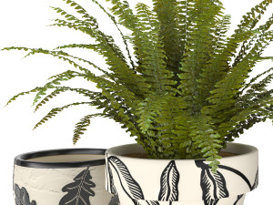 fern in vase 01 - indoor plant Modelo 3D