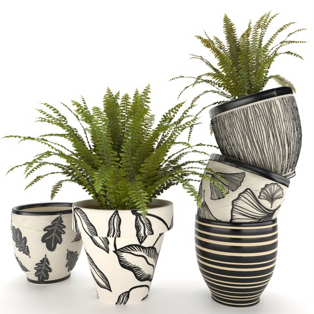fern in vase 01 - indoor plant Modelo 3D .c4d .max .obj .3ds .fbx .stl .blend 