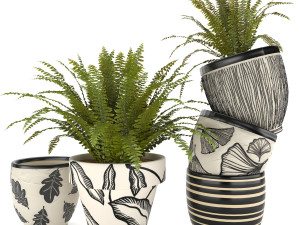 fern in vase 01 - indoor plant 3D Model