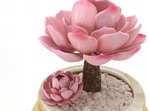 Sacculent cactus - indoor plant 3D Model