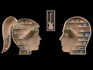 wall library Model 3D