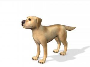 cartoon animal dog 3D Model