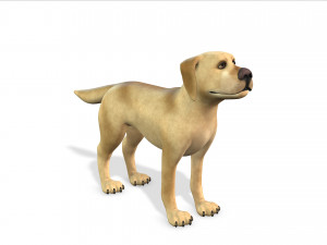 cartoon animal dog 3D मॉडल