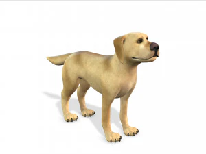 cartoon animal dog 3D Model