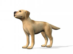cartoon animal dog 3D Model