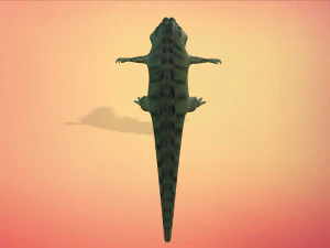 cartoon animal croc 3D Model