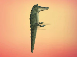 cartoon animal croc 3D Model