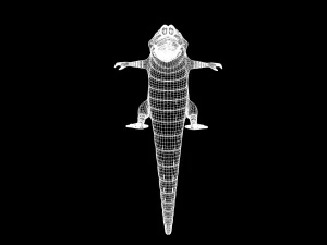 cartoon animal croc 3D Model