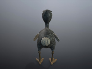 cartoon animal dodo 3D Модель