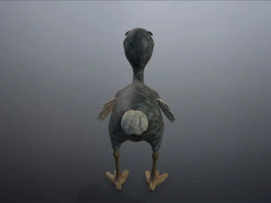 cartoon animal dodo 3D Model