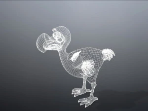 cartoon animal dodo 3D Model