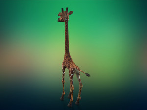 cartoon animal giraffe 3D Модель