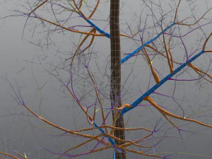 3d volwassen trillende esp - variatie 1 3D Model