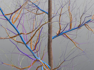 tall mature quaking aspen - variation 1 3D मॉडल