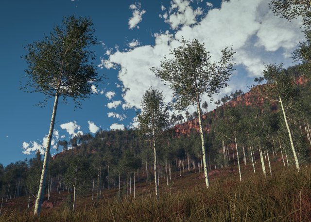 quaking aspen model in multiple growth stages 3D Модель .c4d .max .obj .3ds .fbx .stl .blend 