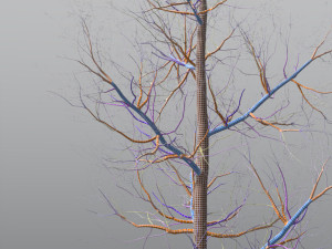 quaking aspen model in multiple growth stages 3D Модель
