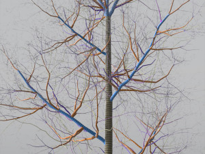 quaking aspen model in multiple growth stages 3D Модель