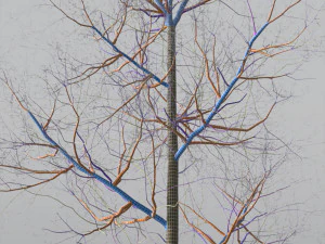 quaking aspen model in multiple growth stages 3D Model