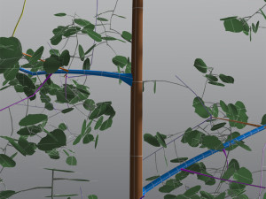 quaking aspen model in multiple growth stages 3D Модель