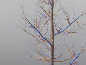 quaking aspen model in multiple growth stages 3D Model