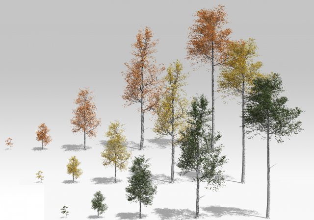seasonal quaking aspen model in multiple growth stages 3D Модель .c4d .max .obj .3ds .fbx .stl .blend 