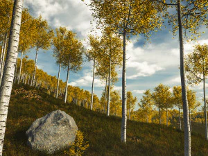 seasonal quaking aspen model in multiple growth stages 3D Model