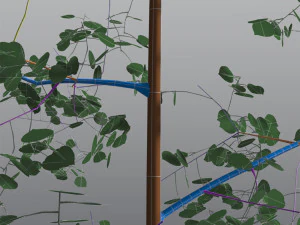 seasonal quaking aspen model in multiple growth stages 3D Model