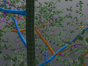 seasonal adult quaking aspen - variation 1 3D Модель