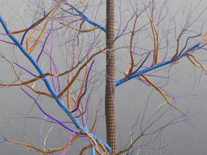 seasonal tall mature quaking aspen - variation 1 3D Model