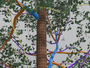 seasonal tall mature quaking aspen - variation 1 3D Model
