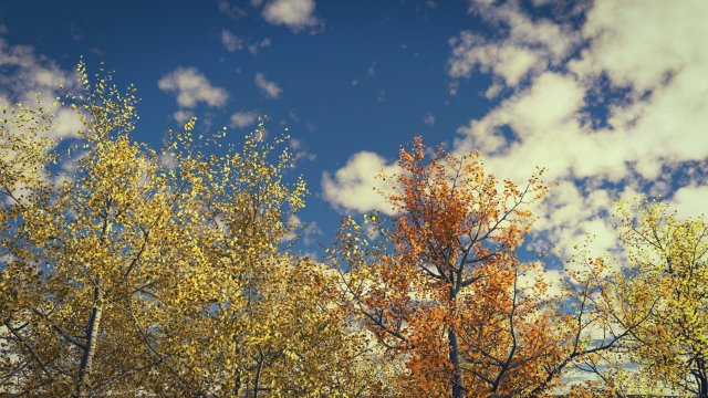 seasonal tall mature quaking aspen - variation 2 3D 모델 .c4d .max .obj .3ds .fbx .stl .blend 