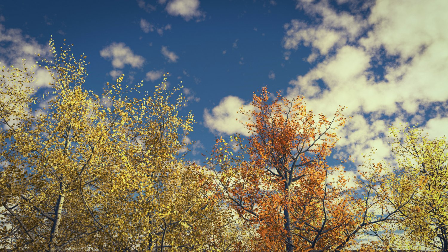 Seasonal Tall Mature Quaking Aspen - Variation 2 3D Модель In.