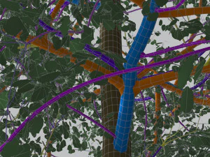 seasonal tall mature quaking aspen - variation 2 3D Model