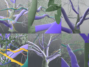 live oak multi-pack 3D Model