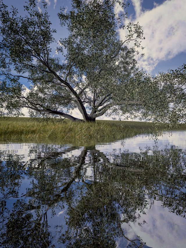 live oak - variation b Modelo 3D .c4d .max .obj .3ds .fbx .stl .blend 