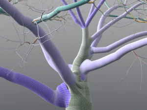 roble vivo - variaci&oacute;n b Modelo 3D