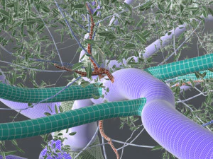 roble vivo - variaci&oacute;n b Modelo 3D