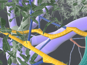 live oak - variation d Modelo 3D