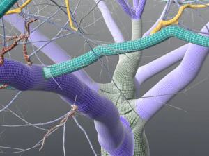 live oak - variation e 3D Model