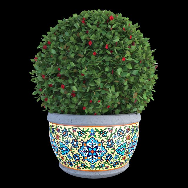 impatiens walleriana flower high poly Modèle 3D .c4d .max .obj .3ds .fbx .stl .blend 