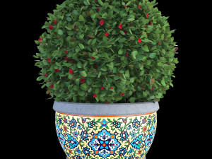 impatiens walleriana flower high poly 3D Model