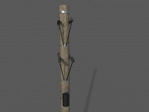 power pole 3D Model