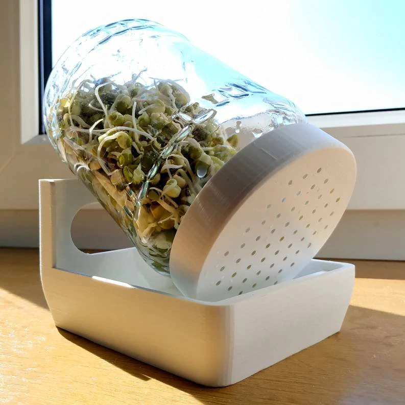 plant germination bowl 3D Print Model .c4d .max .obj .3ds .fbx .stl .blend 