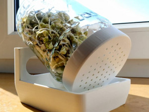 plant germination bowl 3D Print Model