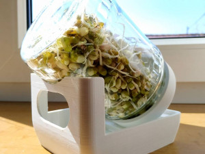 plant germination bowl 3D Print Model