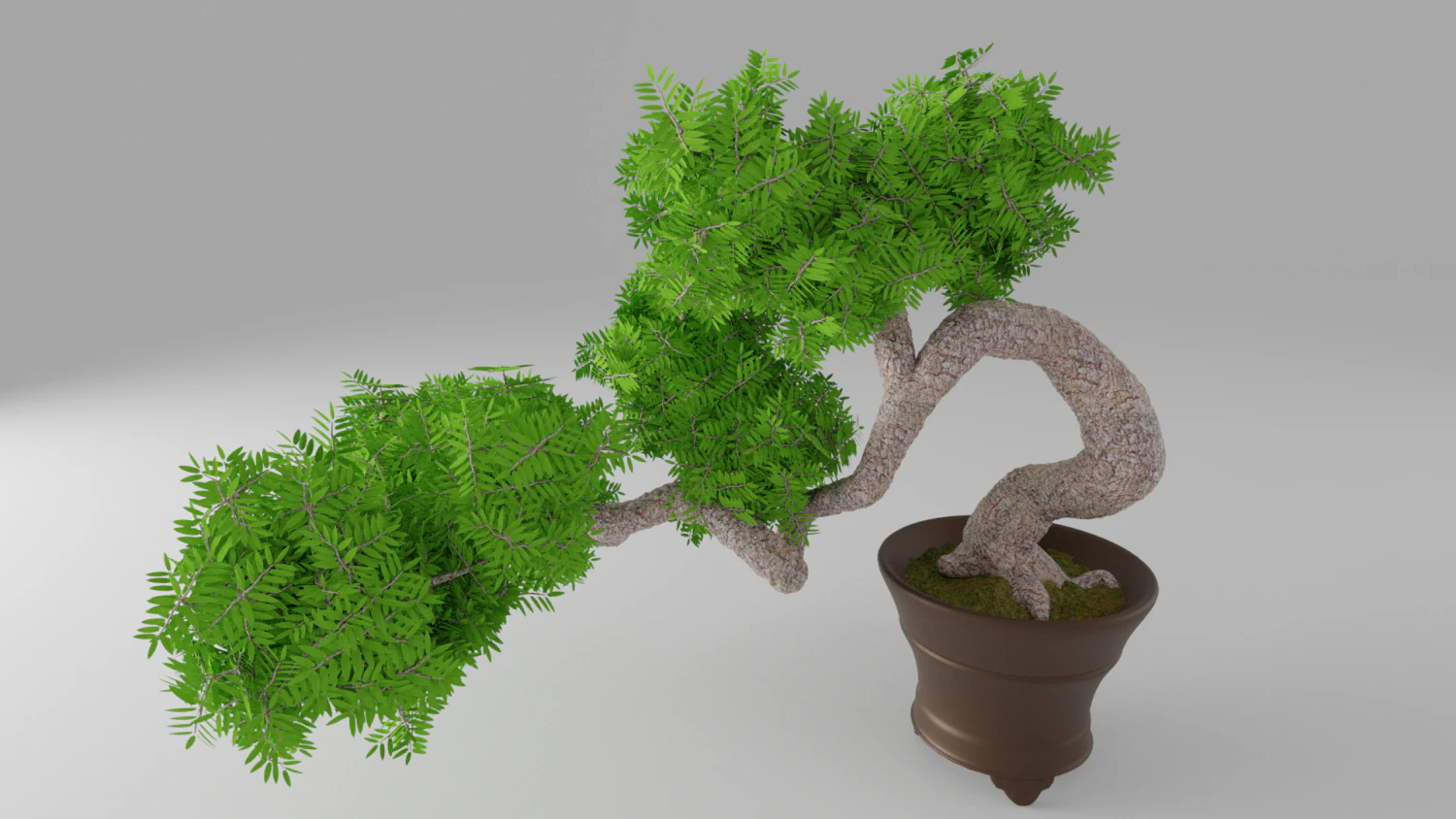 bonsai 3D Model .c4d .max .obj .3ds .fbx .stl .blend 